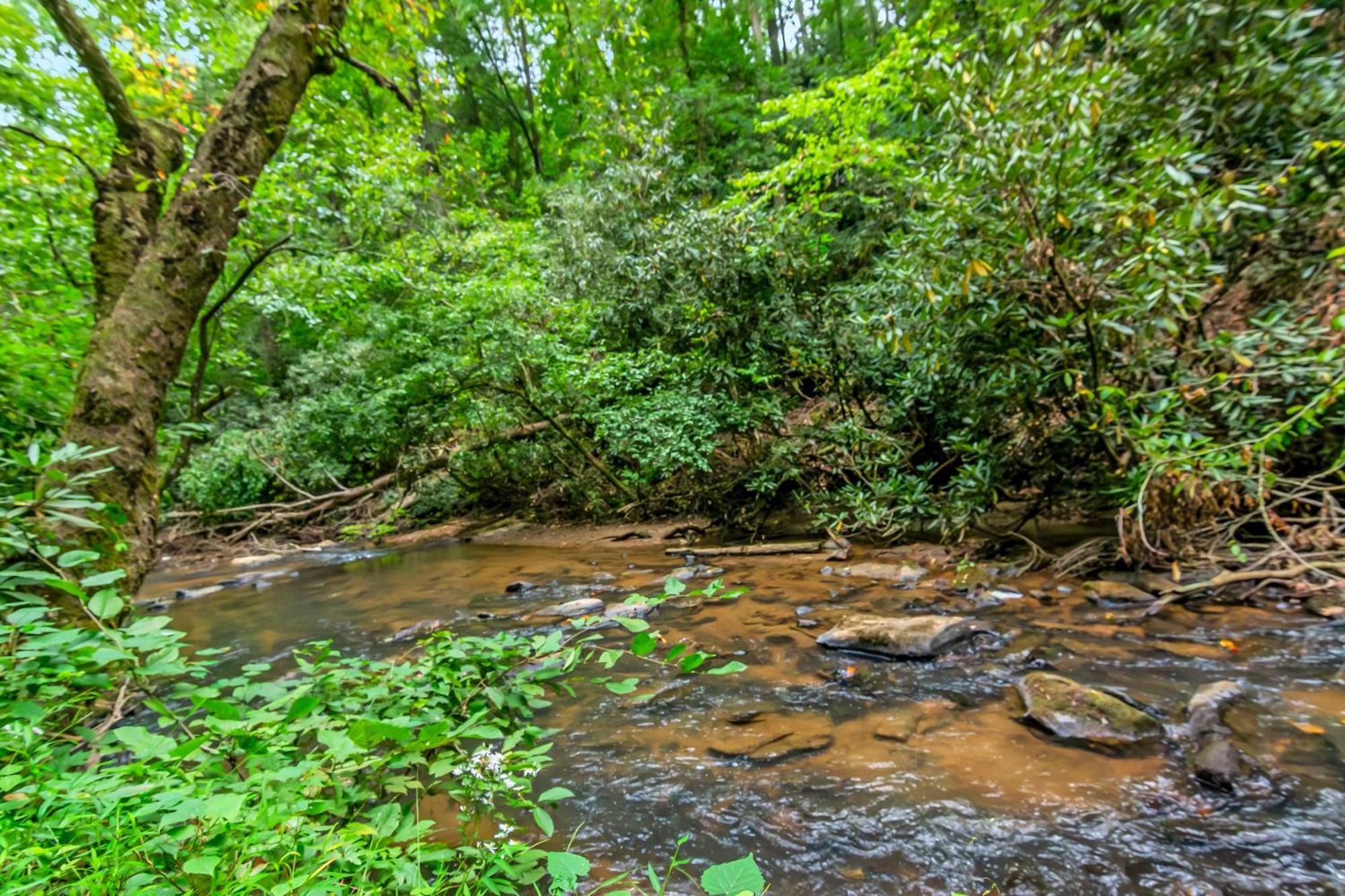 Amazing Creek View Cabin W/ Hot Tub, Firepit & Pool Table Ellijay Exterior photo