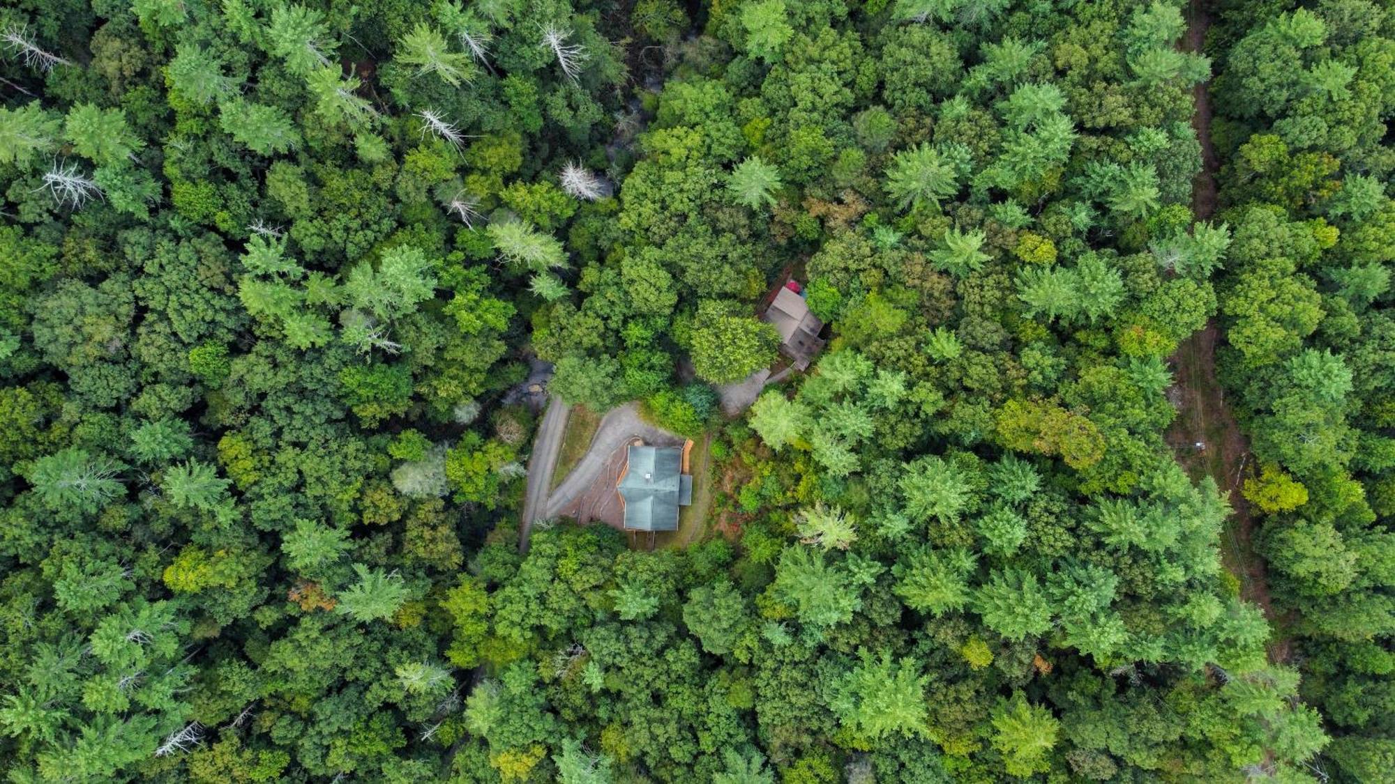 Amazing Creek View Cabin W/ Hot Tub, Firepit & Pool Table Ellijay Exterior photo